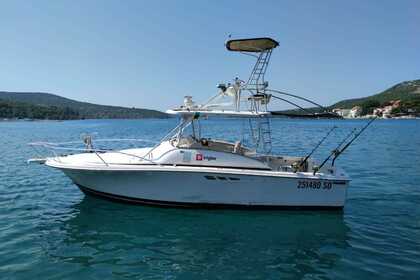 Rental Motorboat Luhrs 29 Tournament Dubrovnik
