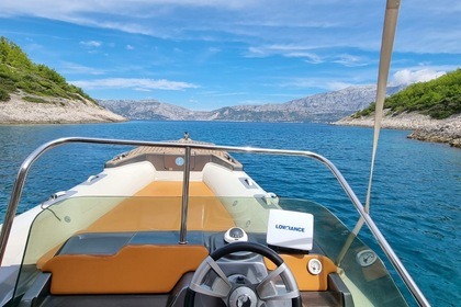 Shark 23 + 150 hp Honda