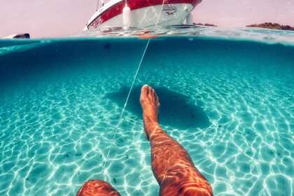 RENT NO LICENSE - SON BOU