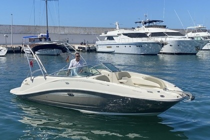 Hire Motorboat Sea Ray 260 SD Marbella