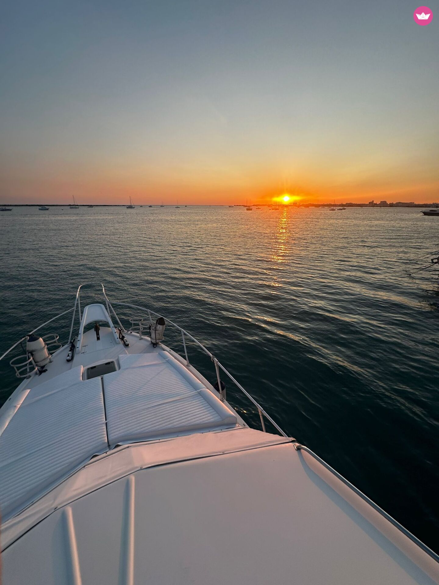 Bateau à moteur Della Pasqua DC11 500cv 4