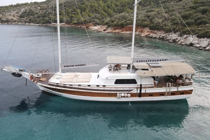 Endless Summer 8 cabins