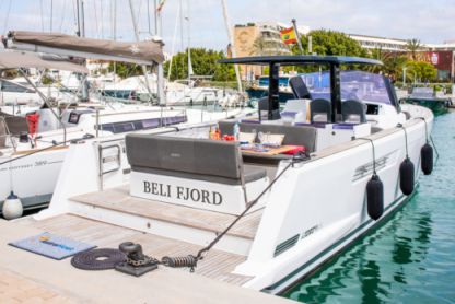 Charter Motorboat Fjord 40 Open Ibiza