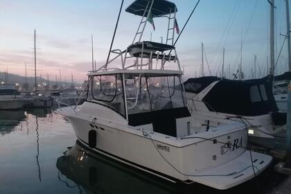 Hire Motorboat Luhrs Luhrs 29 Ischia