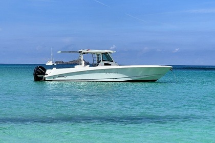 Rental Motorboat Boston Whaler outrage Sint Maarten