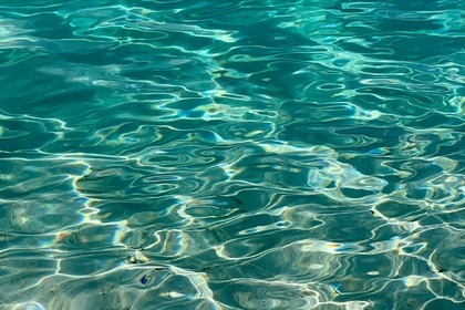 Bavaria 39 - Cabines y baño exclusivos