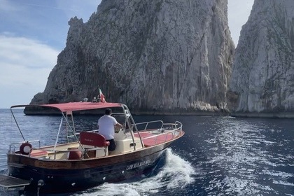 Charter Motorboat Fratelli Aprea 7.50 Capri