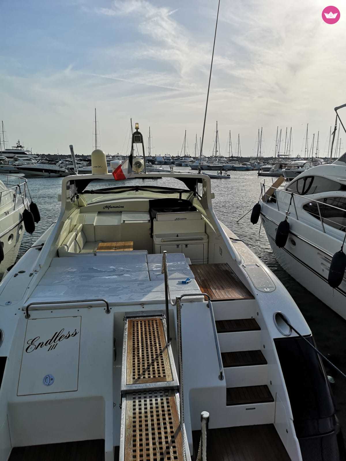 Alfamarine 47