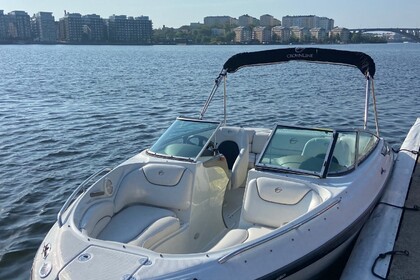 Hire Motorboat Crownline 206 LS Stockholm