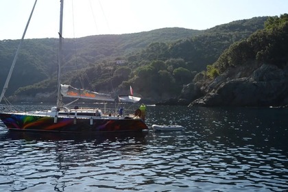 Noleggio Barca a vela Barberis show38 Pisa