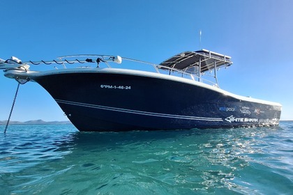 Charter Motorboat White Shark 285 Alcúdia