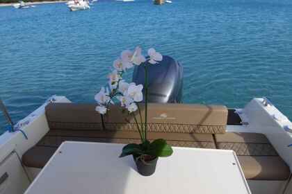 Skippered tours with Atlantic Marine Suncruiser 690