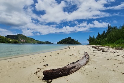 Daily private boat excursions