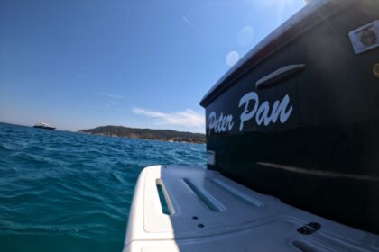 Pursuit 3400 "Express" 12 metres