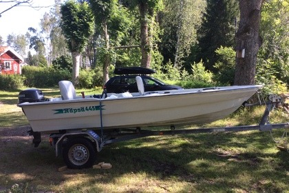 Charter Motorboat Näpsä 445 Väddö