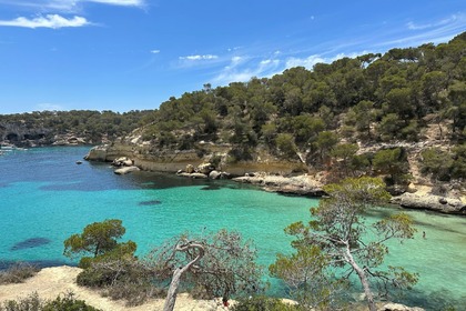 Beneteau Cyclades 43.4 (2008)