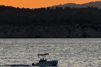 No license boat protender 440