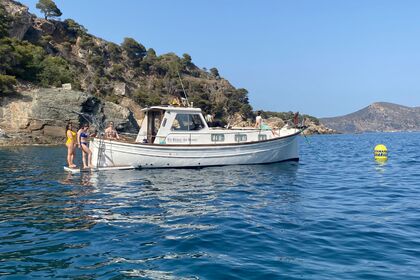 Blue Dream Snorkel, Kayak y Paddle Surf