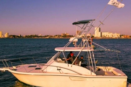 Luhrs 34 Sportfisher