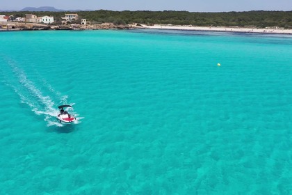 Rental Boat without license  Remus 450 S'Estanyol de Migjorn