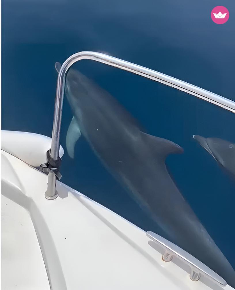 Bateau à moteur ASTILUX AX 600 OPEN 115cv 7