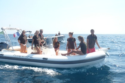 Location Semi-rigide CAPELLI Tempest 650 Sainte-Maxime