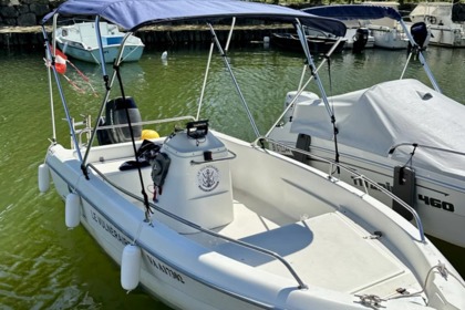 Miete Motorboot Sessa Marine Ocean 450 Le Bourget-du-Lac