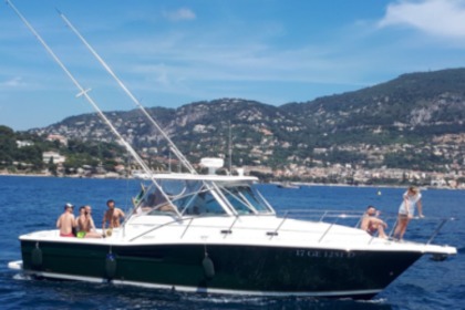 Pursuit 3400 "Express" 12 metres