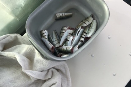 Jeanneau Merry Fisher 705 / All inclusive / Bar area