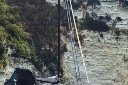 Catamaran Carrera 57