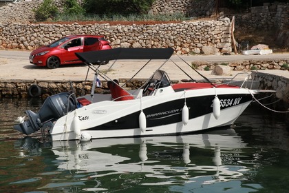 Barracuda 545
