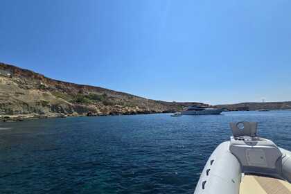 Full day charter on our luxury 8m SACS.