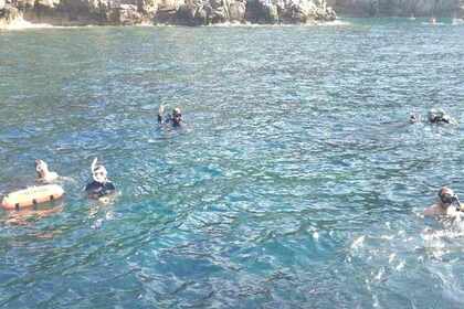 Hire Sailboat Nautic Saintonge Rorqual p74 Beaulieu-sur-Mer