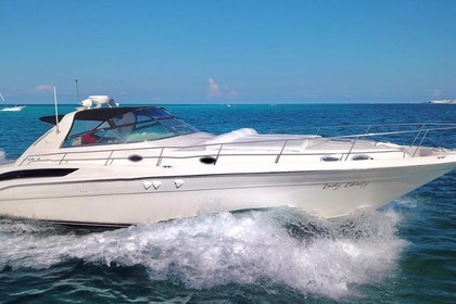 Naviga con stile: Sea Ray Sundancer