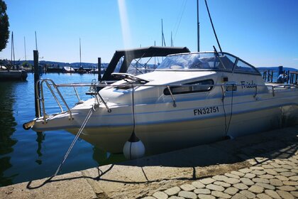 Drago Fiesta 660 / 90 PS Suzuki / auch auf Trailer