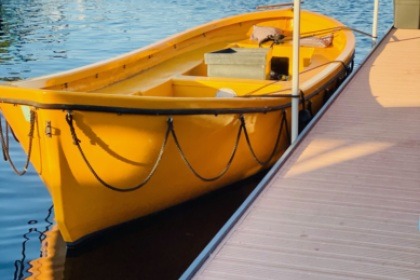 Charter Motorboat Viking Reddingssloep Vinkeveen