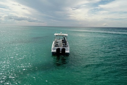 Hire Motorboat Wellcraft costal 23 Bayahibe