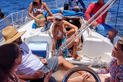 Aluguel Veleiro Fast Fast 395 Paraty