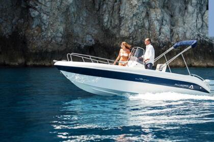 barco quintal alegre de luxo 19