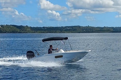 Location Bateau à moteur Boston Whaler 150 Super sport Pointe-à-Pitre