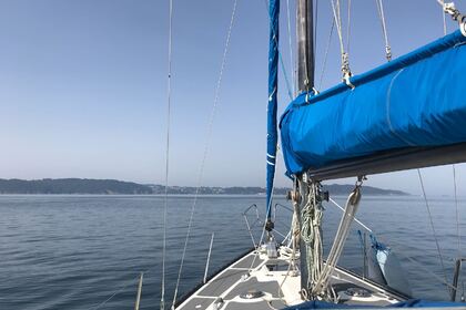 Alquiler medio dia con patron