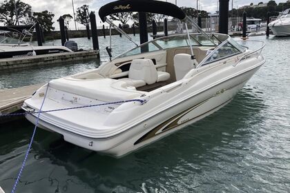 Boat Tour Lake Como - Sea Ray 190