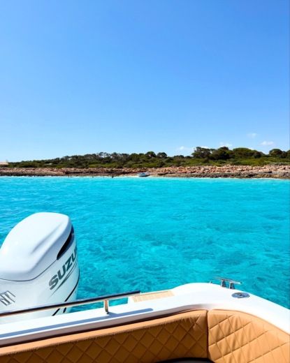 Эс Тренк Motorboat Saver 750wa hardtop alt tag text