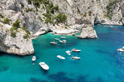 Rental Motorboat Ranieri Shadow 24 Sorrento