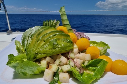 Experience Luxury and Adventure Aboard the Truco III Leopard 51 ft. Catamaran