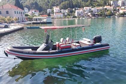 Charter RIB Lolivul 7.4 Blace