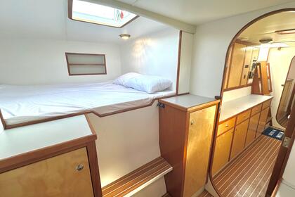 Blue Styria Catamarán 49