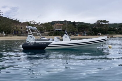 Charter Motorboat FANALE MARINE FANALE 700 Belvédère-Campomoro