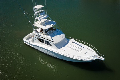 Charter Motorboat Hatteras 540 Flybridge Mazatlán