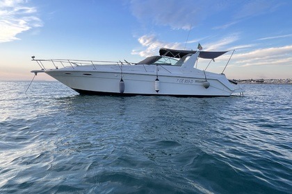 Alquiler Yate a motor Sea Ray 350 DA Ragusa